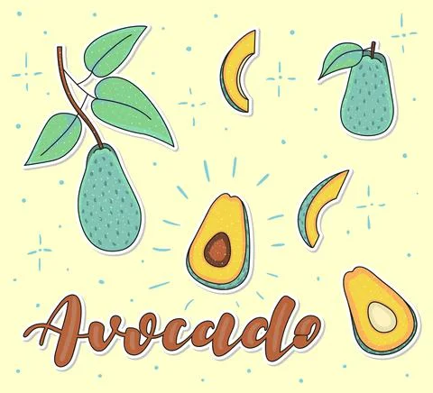 Vector hand drawn lettering and avocado set on yellow background Stock Illustration