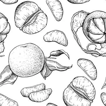 Vector hand drawn mandarin seamless pattern Illustrazione stock