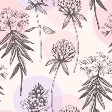 Vector hand drawn meadow flowers seamless pattern Stock Illustration