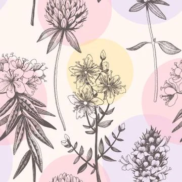 Vector hand drawn meadow flowers seamless pattern Stock Illustration