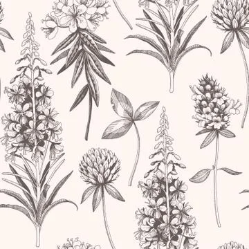 Vector hand drawn meadow flowers seamless pattern Stock Illustration