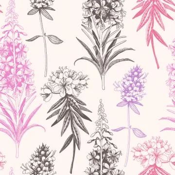 Vector hand drawn meadow flowers seamless pattern Stock Illustration