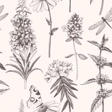 Vector hand drawn meadow flowers seamless pattern Stock Illustration
