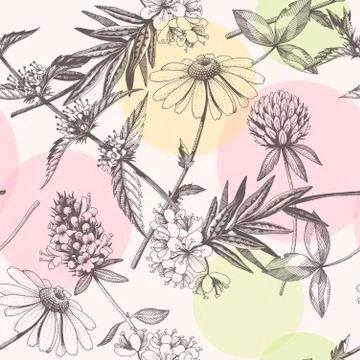 Vector hand drawn meadow flowers seamless pattern Stock Illustration