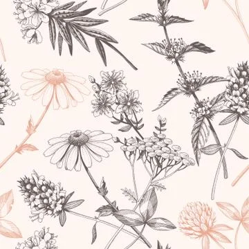Vector hand drawn meadow flowers seamless pattern Stock Illustration