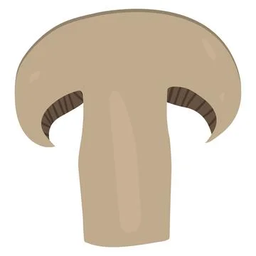 Vector hand drawn mushroom on white background Stock Illustration