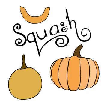 Vector hand drawn orange pumpkins set and squash lettering text Stock Illustration