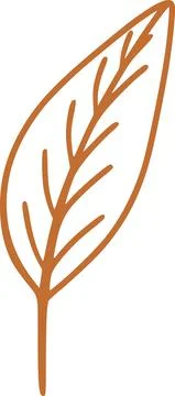 Vector hand drawn organic sketchy leaf 库存插图
