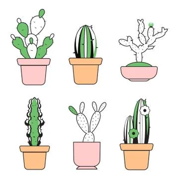 Vector hand drawn outline cactus with color elements Stock Illustration