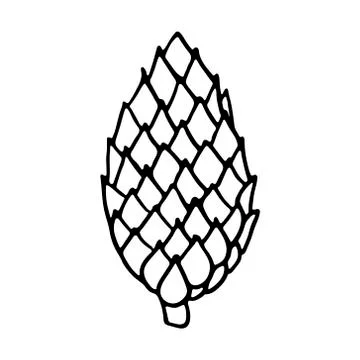 Vector hand drawn outline illustration of pine or fir cone Illustrazione stock