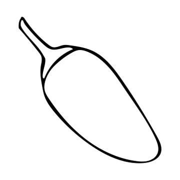 Vector hand drawn outline illustration of jalapeno pepper Stock Illustration
