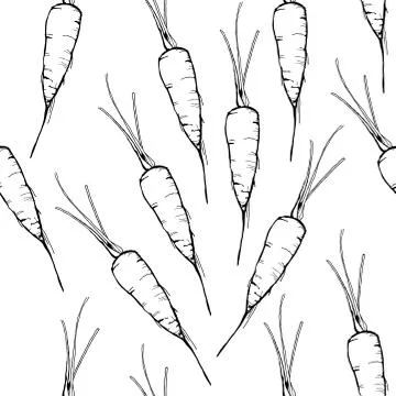 Vector Hand drawn outline seamless pattern with contour carrots. Monochrome Stock Illustration