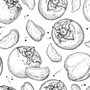 Vector hand drawn persimmon seamless pattern. Stock Illustration