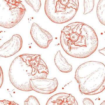 Vector hand drawn persimmon seamless pattern. Stock Illustration