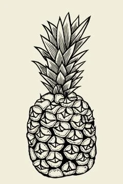Vector hand drawn pineapple. Illustrazione stock