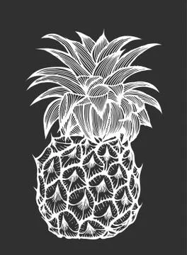 Vector hand drawn pineapple. Illustrazione stock