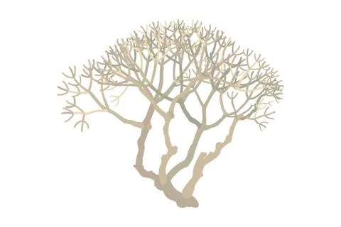 Vector hand drawn plant clip art Stock Illustration