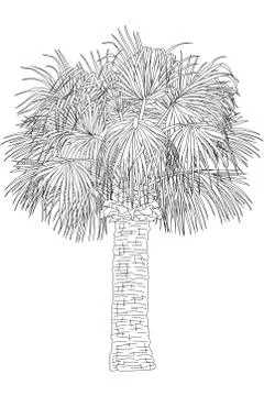 Vector hand drawn plant clipart Illustrazione stock