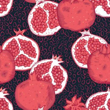 Vector hand drawn pomegranate fruit red dark blue seamless pattern print Stock Illustration