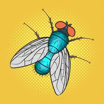 Vector hand drawn pop art illustration of fly. Stock Illustration