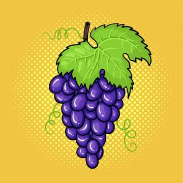 Vector hand drawn pop art illustration of bunch of grapes with a leaf. Stock Illustration