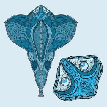 Vector hand drawn ramp fish,  head magnified Stock-Illustration