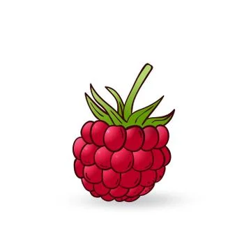 Vector hand drawn raspberry  icon Illustrazione stock