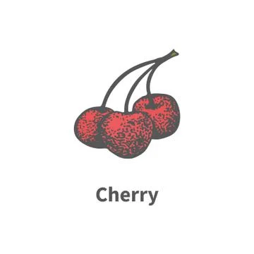 Vector hand-drawn ripe red juicy cherry on branch Stock Illustration