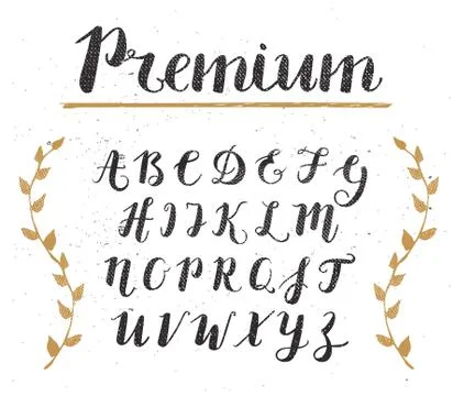 Vector Hand Drawn Script Alphabet. Letters Written with a Brush Pen with Ink Stock Illustration