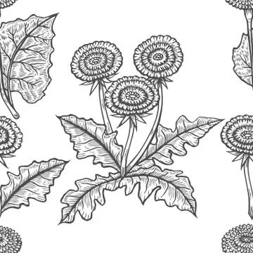 Vector hand drawn seamless background with coltsfoot Stock Illustration
