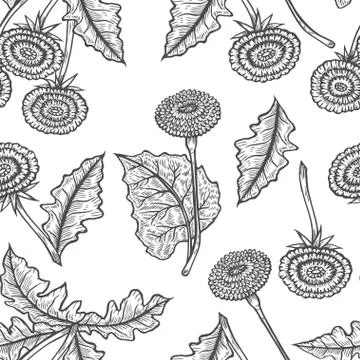 Vector hand drawn seamless background with coltsfoot Illustrazione stock