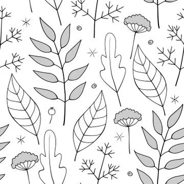 Vector Hand-drawn Seamless Floral Pattern Of Plants, Leaves, Berries And Flow Stock Illustration