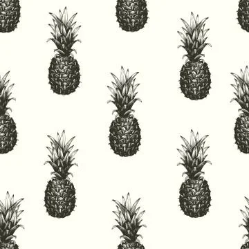 Vector hand drawn seamless pattern with pineapple. Tropical summer fruit Stock Illustration