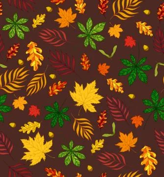 Vector hand drawn seamless pattern with autumn leaves Stock Illustration