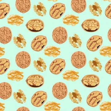 Vector hand drawn seamless pattern walnut whole and half nuts Stock Illustration