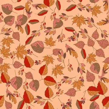Vector hand drawn seamless pattern of fall leaves of birch, oak, maple, ash Stock Illustration