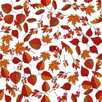 Vector hand drawn seamless pattern of fall leaves of birch, oak, maple, ash Illustrazione stock