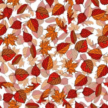 Vector hand drawn seamless pattern of fall leaves of birch, oak, maple, ash 스톡 일러스트