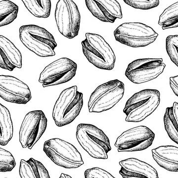 Vector hand drawn seamless Pistachios pattern. Stock Illustration