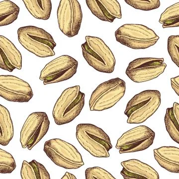 Vector hand drawn seamless Pistachios pattern Stock Illustration