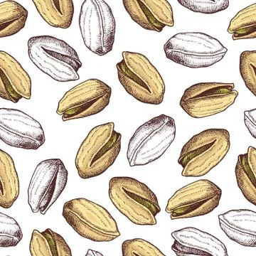 Vector hand drawn seamless Pistachios pattern. Stock Illustration
