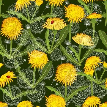 Vector hand drawn seamless spring pattern with dandelions. Stock Illustration