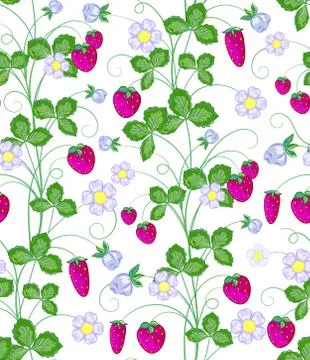 Vector hand drawn seamless strawberry pattern Illustrazione stock