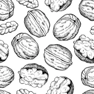 Vector hand drawn seamless Walnut pattern. Engraved collection Stock Illustration