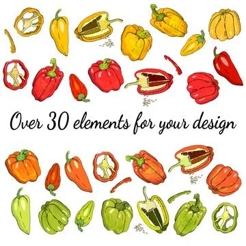 Vector hand drawn set of bell bulgarian peppers. Stock Illustration