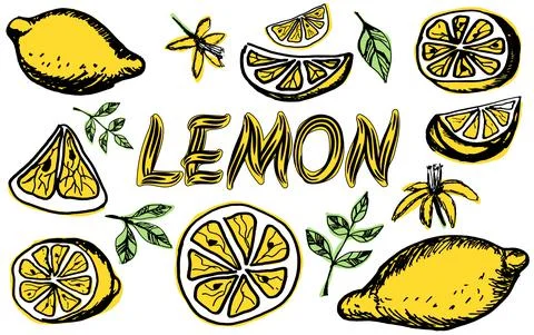 Vector hand drawn set of lemons Illustrazione stock