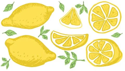 Vector hand drawn set of lemons. 스톡 일러스트