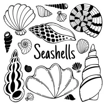 Vector hand drawn set seashells-2 Stock Illustration