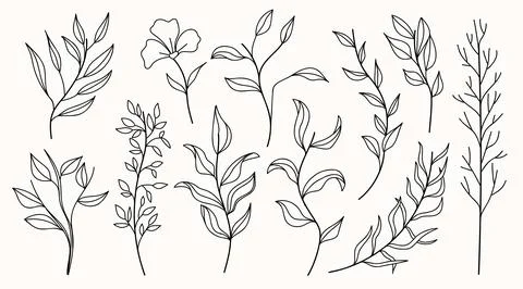 Vector hand drawn set of various silhouette branches with leaves in outline.. Stock Illustration