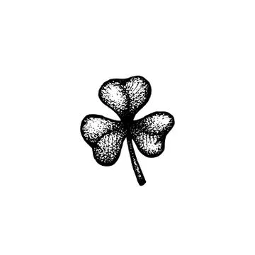 Vector hand drawn shamrock illustration. Stock Illustration